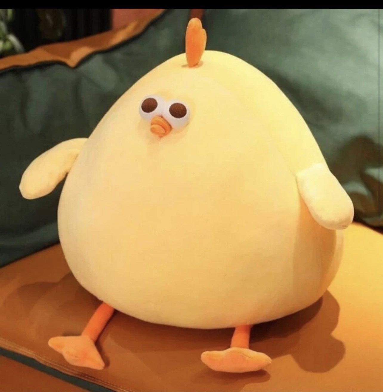 جوجه تپل